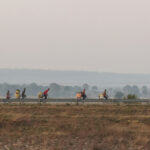 Vu du train : paysages