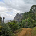 Rando dans les Monts Usambara