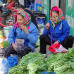 Vendeurs à Dao San